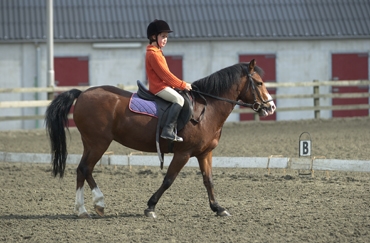 paardrijden bij de manege